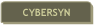 Cybersyn