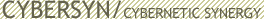Cybersyn.cl